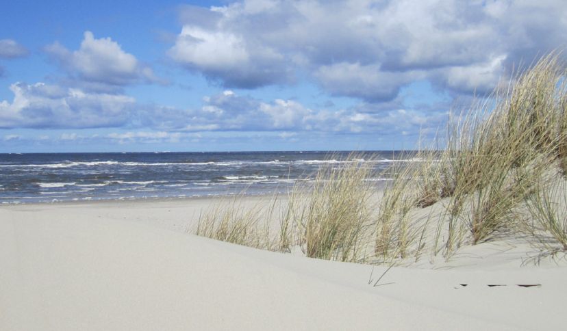 Strand auf Baltrum, © Die Nordsee Gmbh, Jantje Olchers